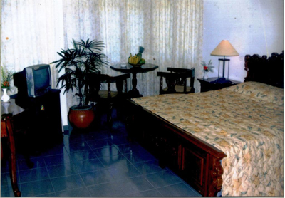 New Wing Deluxe Room